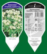 BYLINY-ŚWIERK مشتل نباتات معمرة أعشاب سرخس بولندا 06